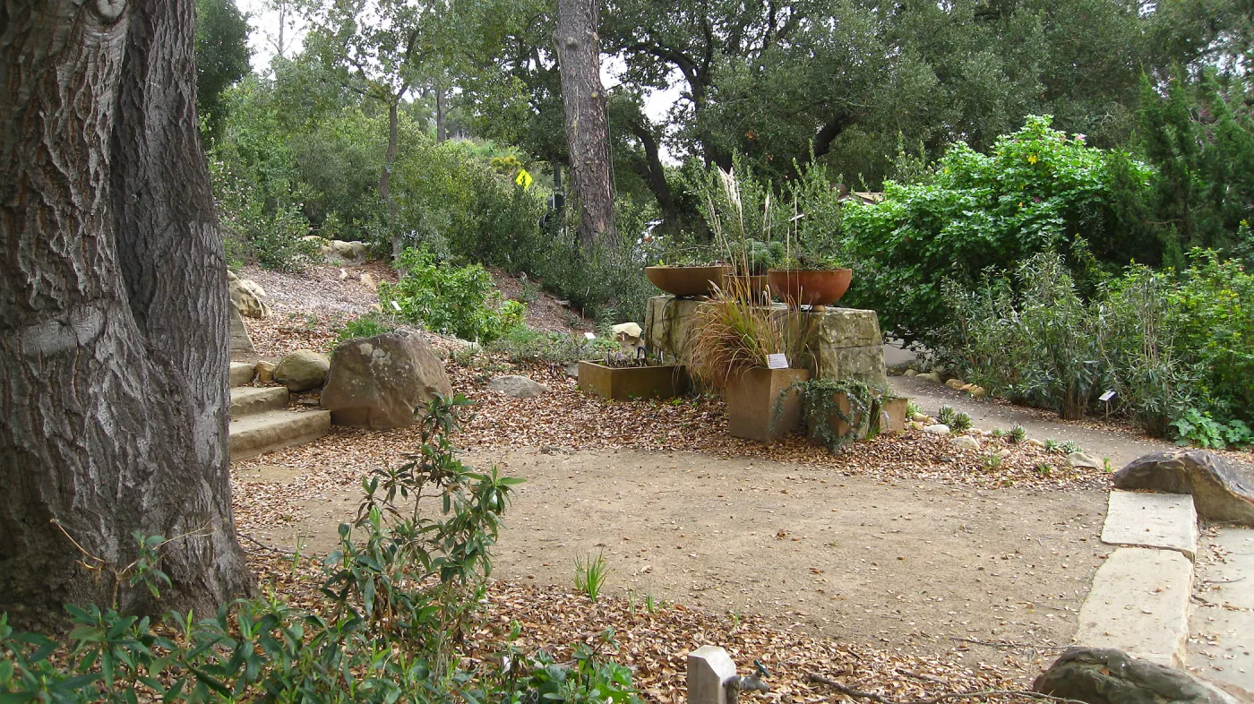 Conservation container display