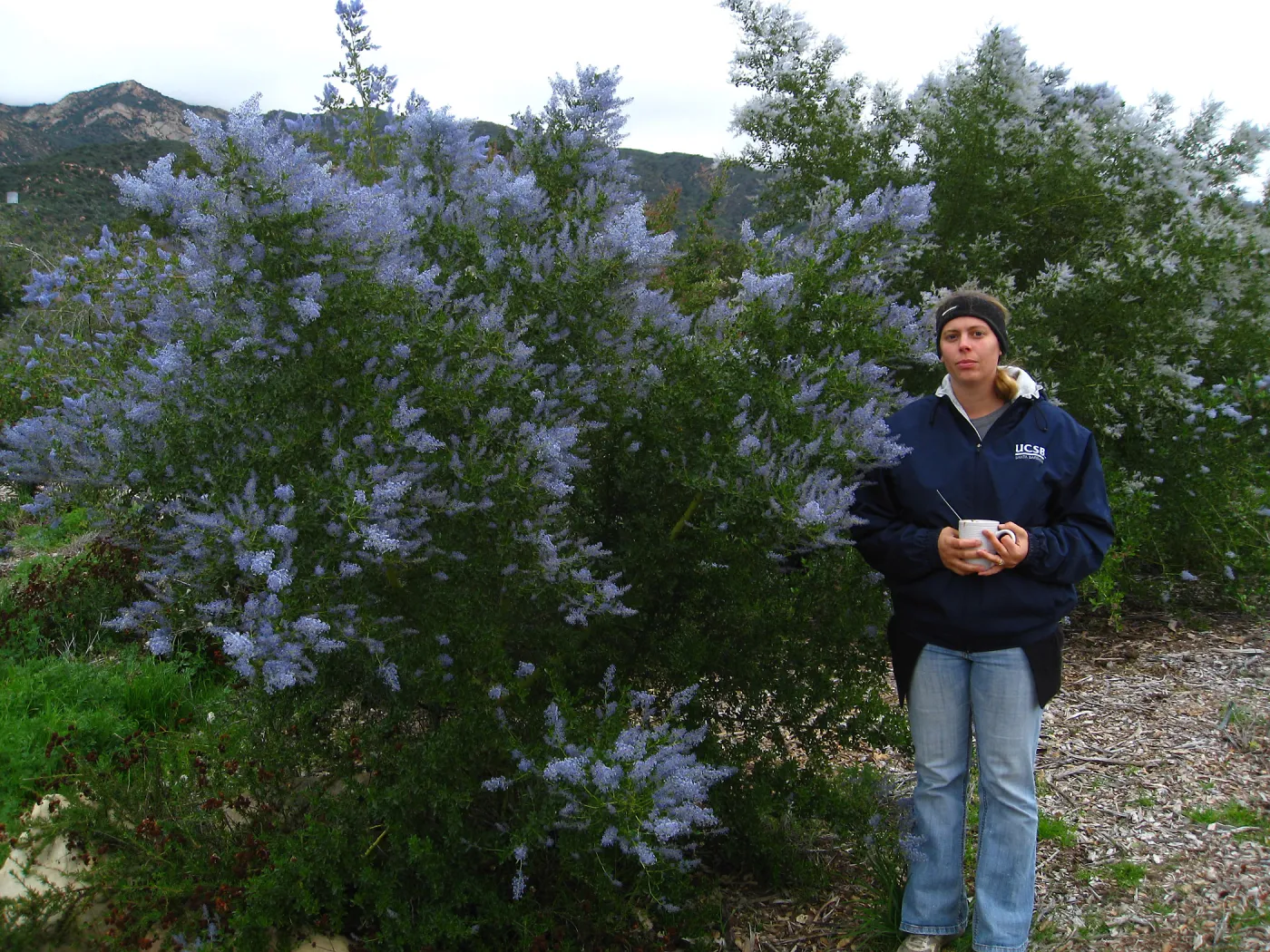 Heather Wehnau in front of Ceanothus spinosus, Porter Trail