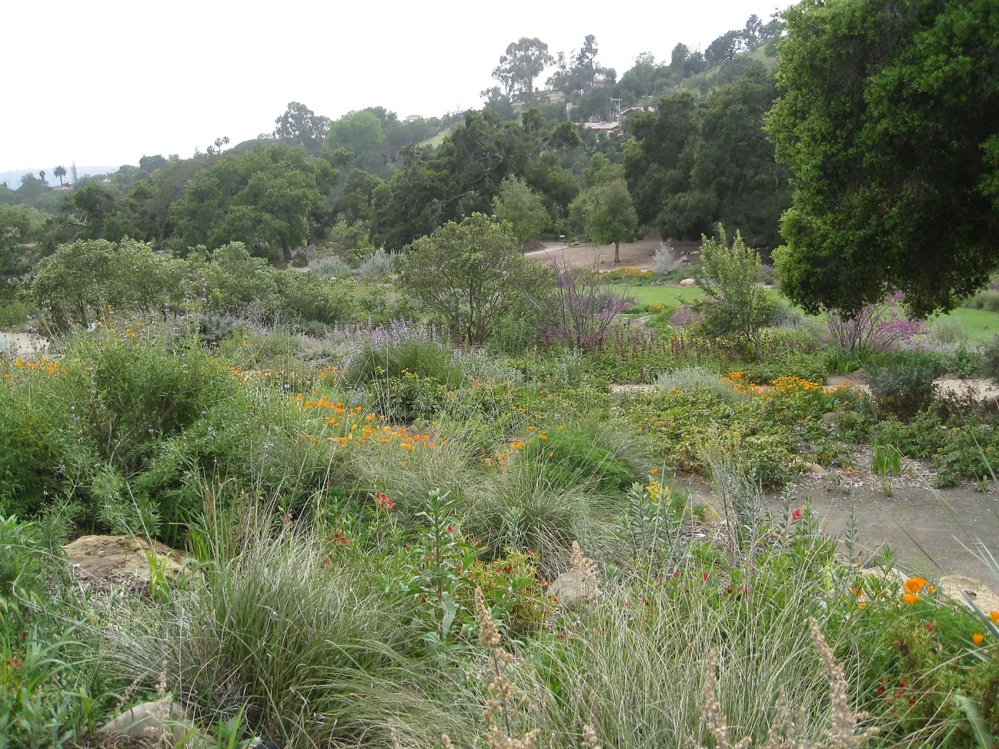  Meadow View