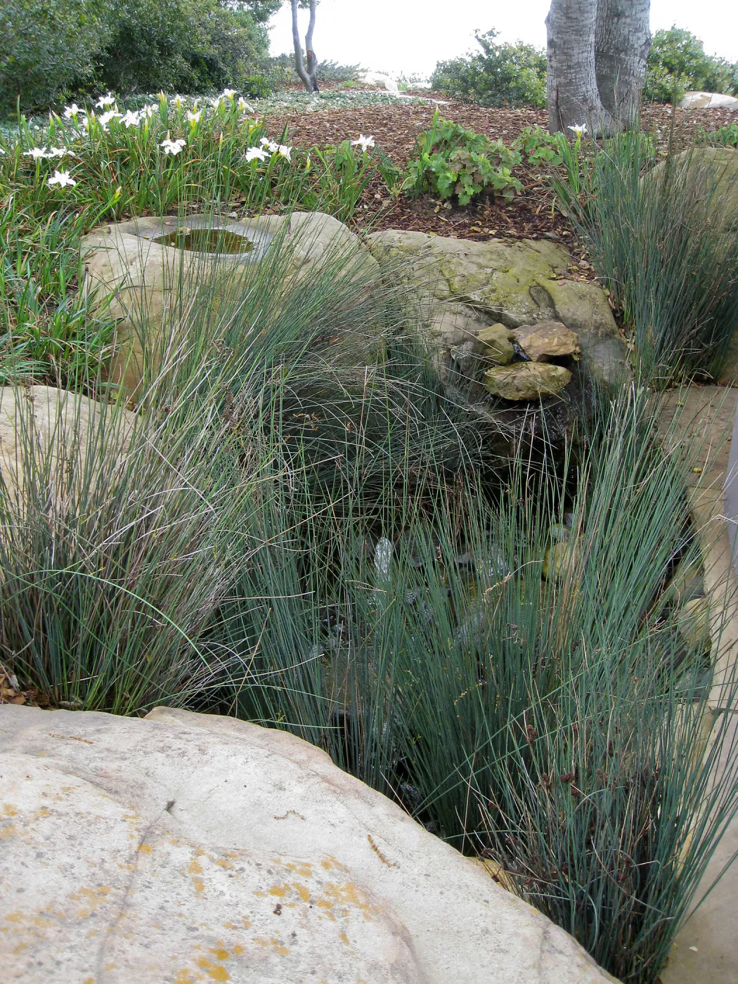 John Gabbert garden
