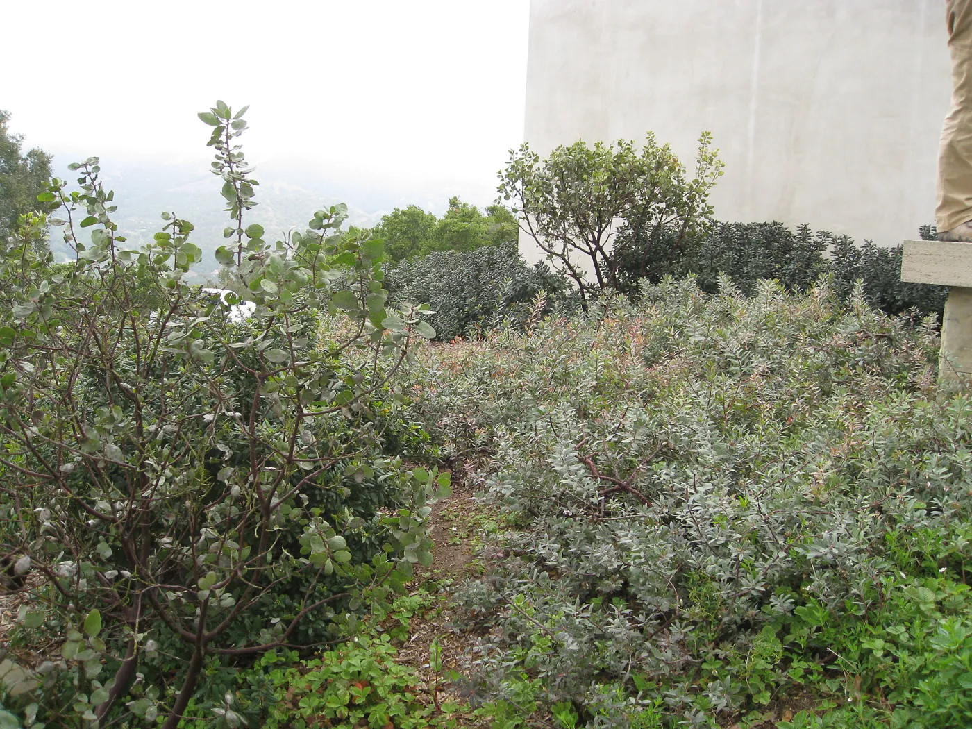 John Gabbert Garden