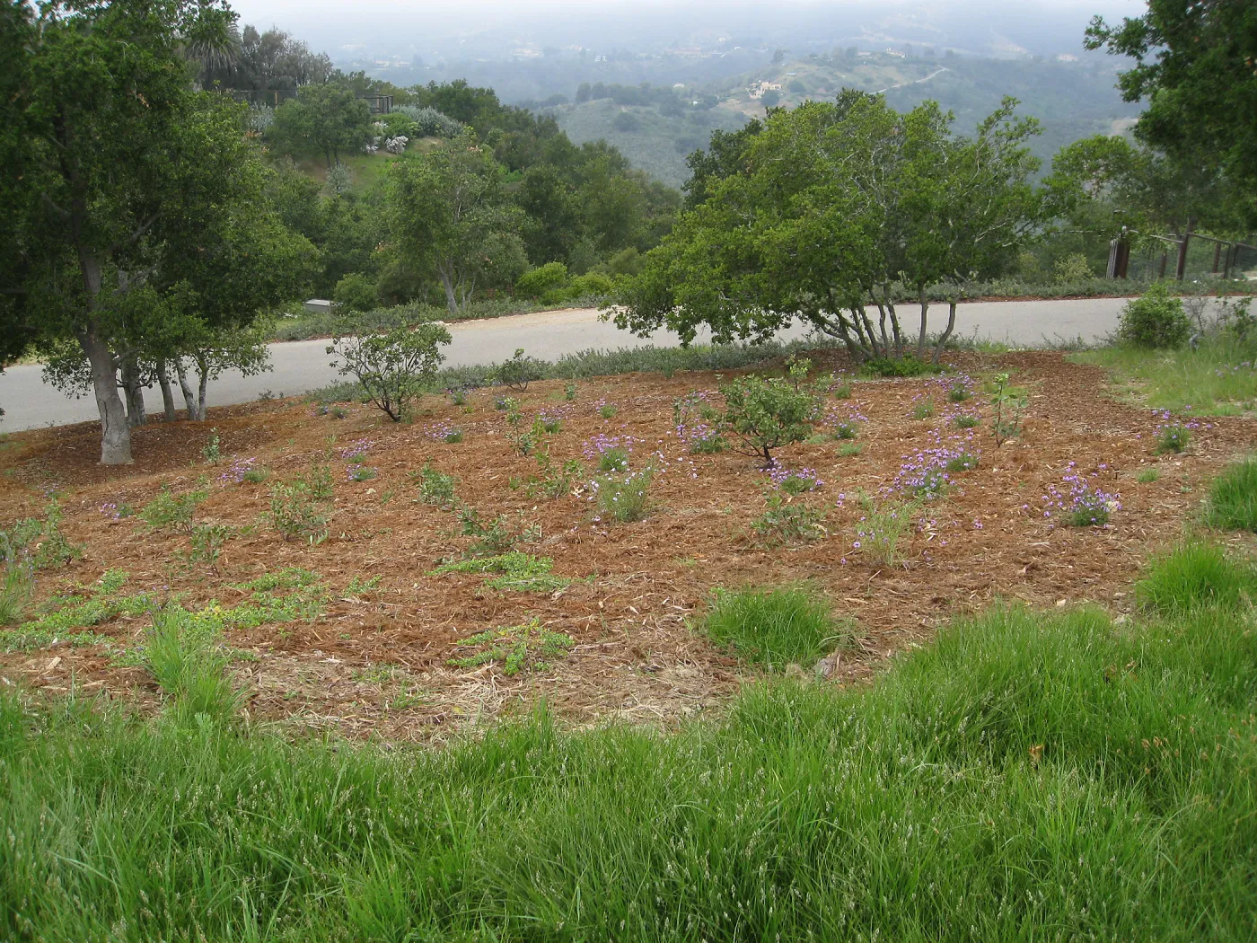 John Gabbert Garden
