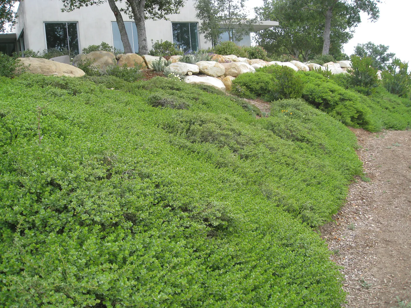 John Gabbert Garden