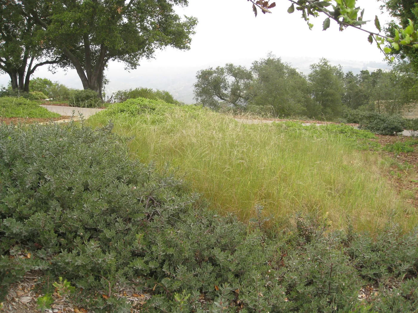 John Gabbert Garden