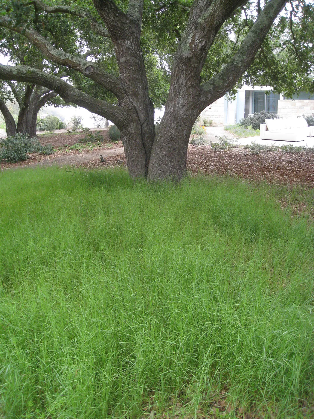 John Gabbert Garden