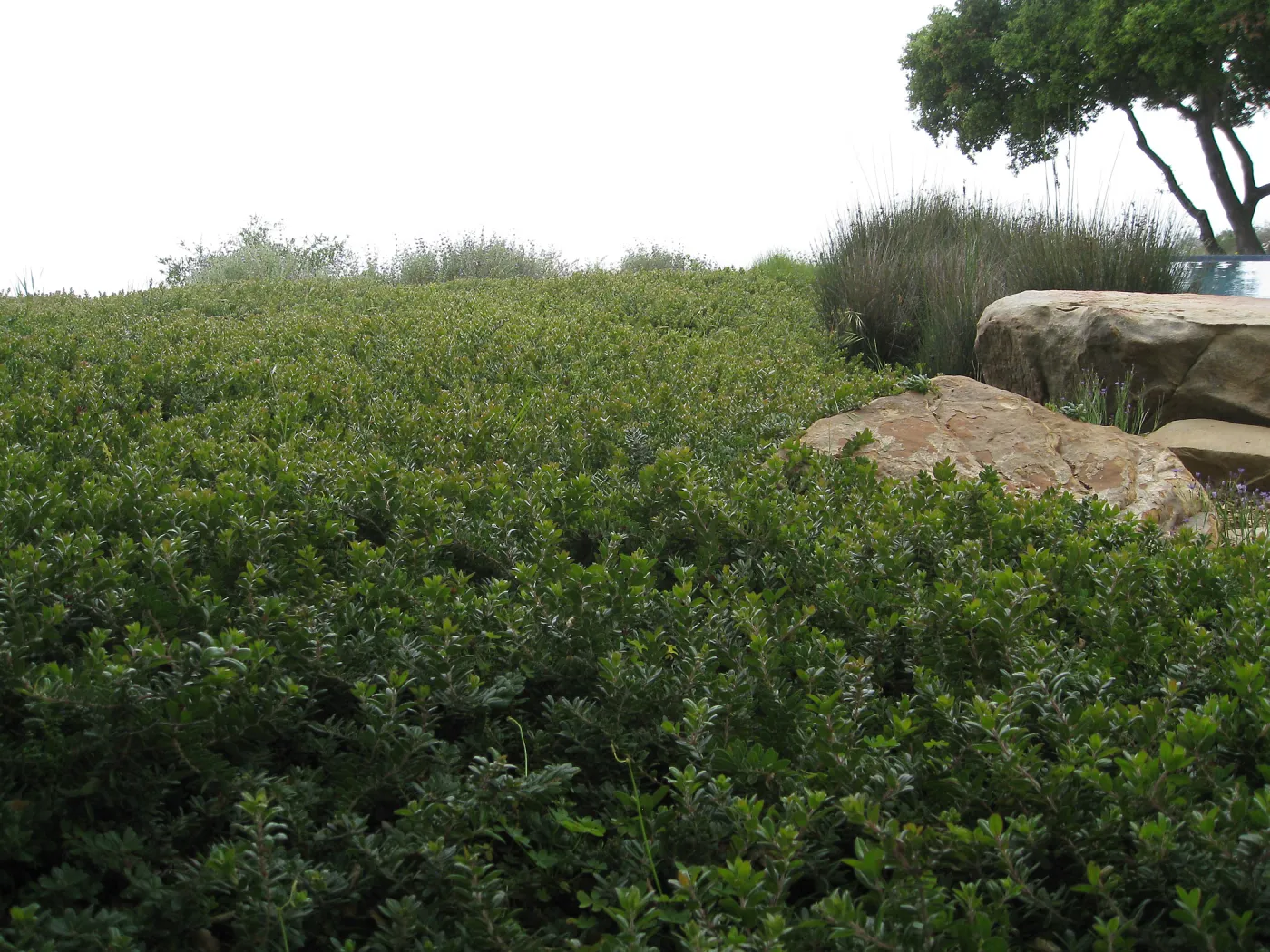 John Gabbert Garden
