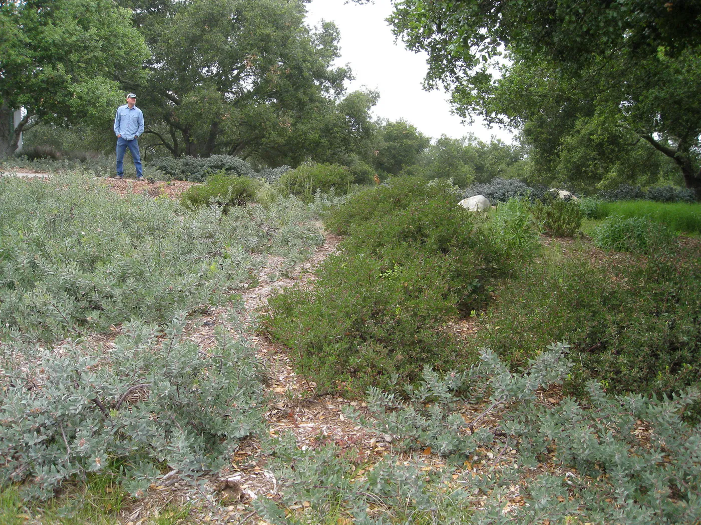 John Gabbert Garden