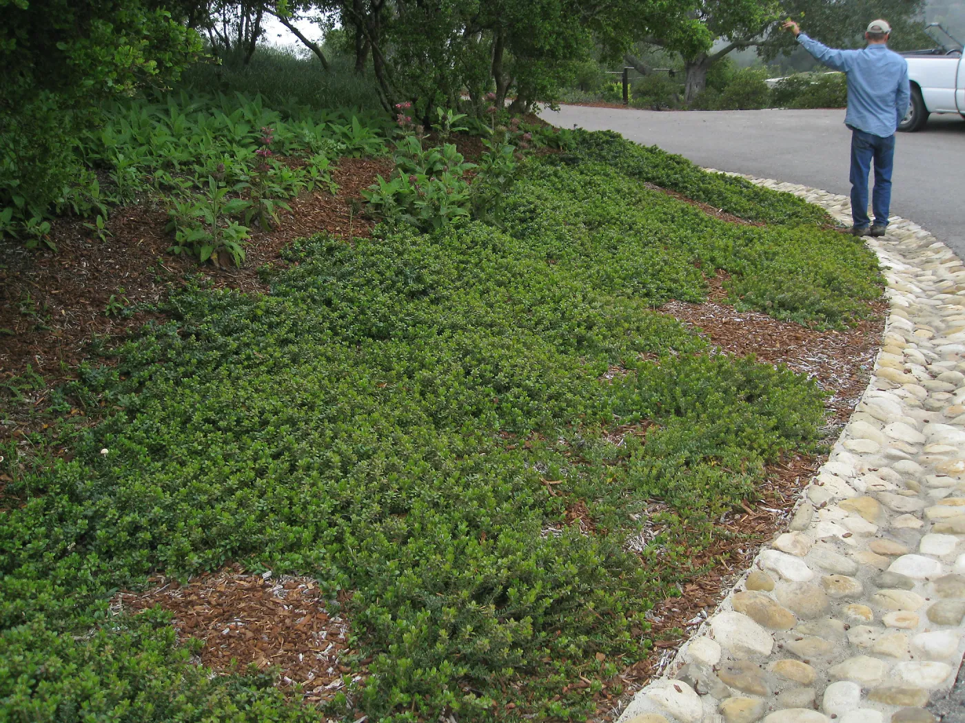John Gabbert Garden