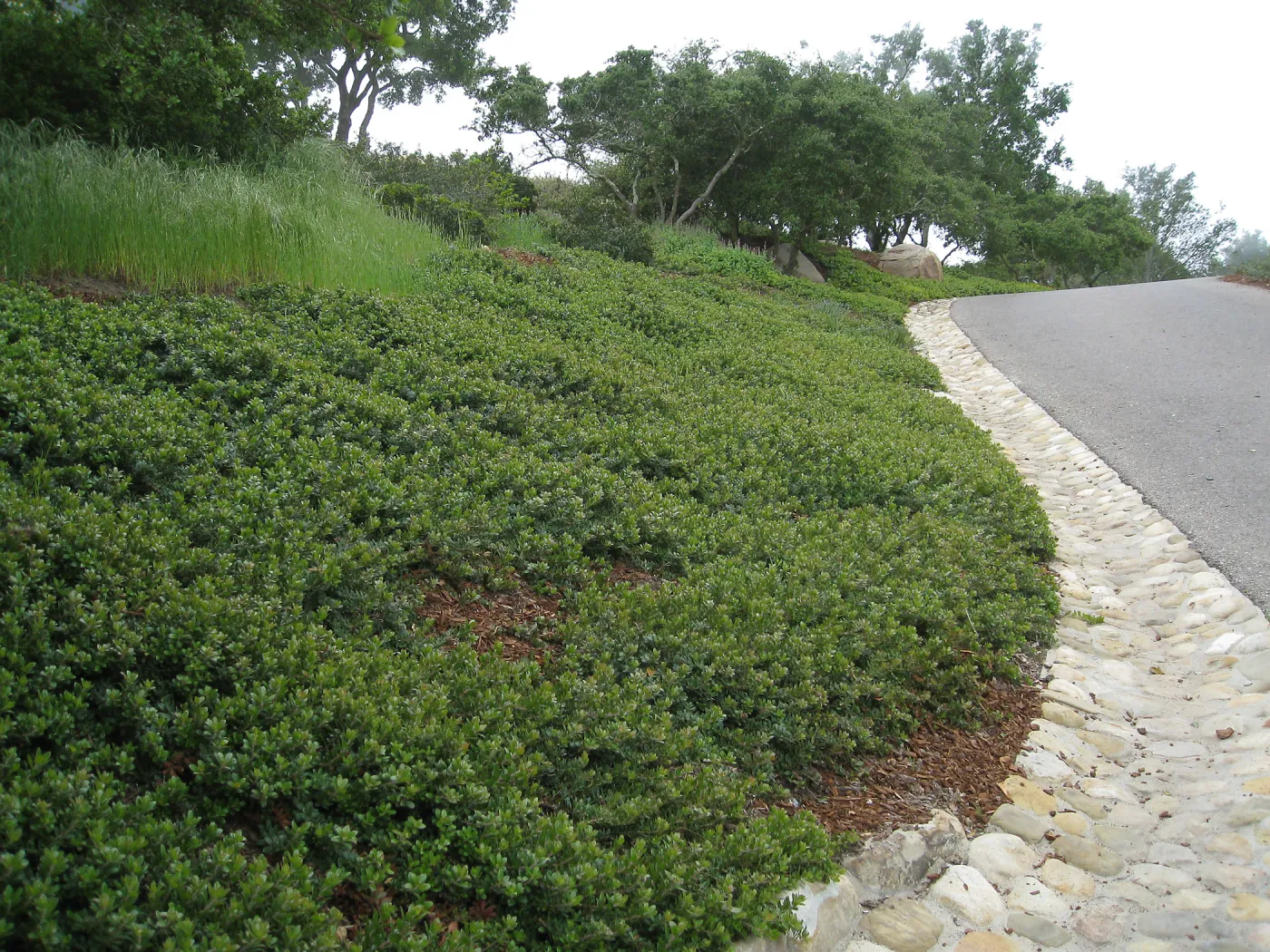 John Gabbert Garden