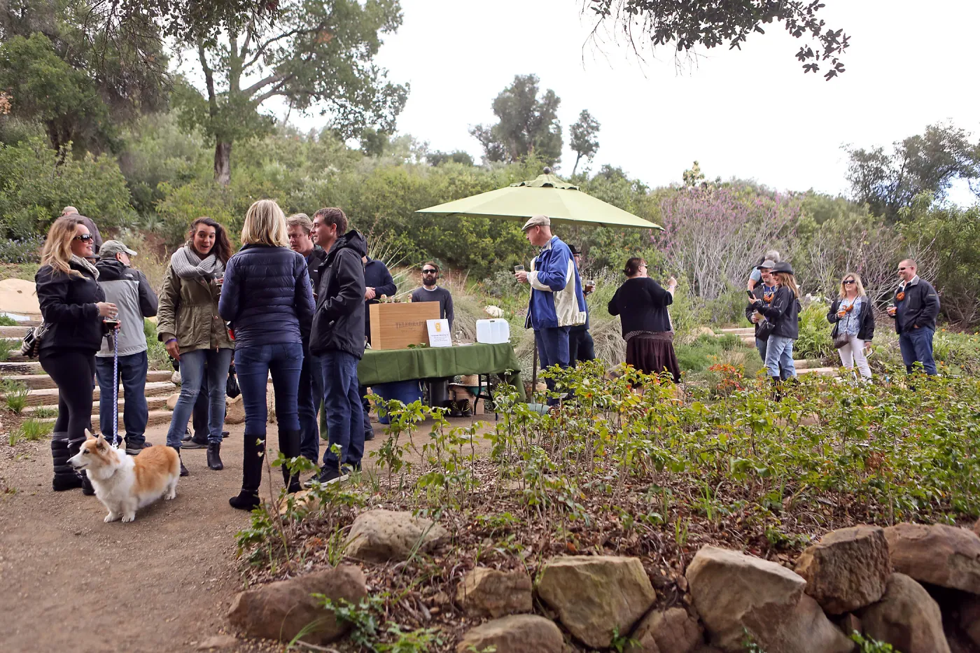 2015 Santa Barbara Beer Garden Event, Telegraph Brewing 