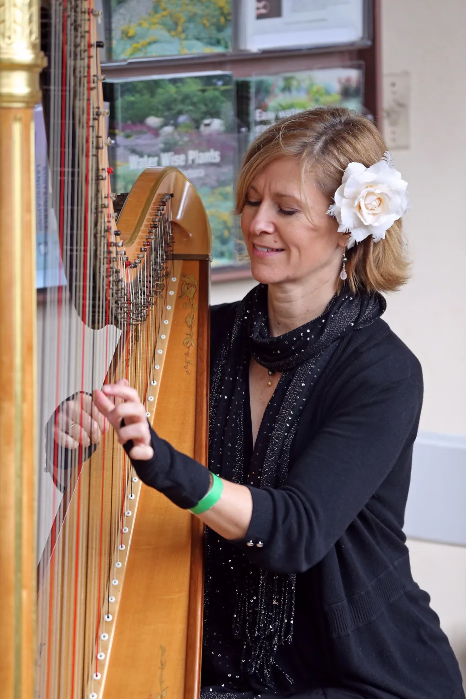 2015 Santa Barbara Beer Garden Event, Harpist