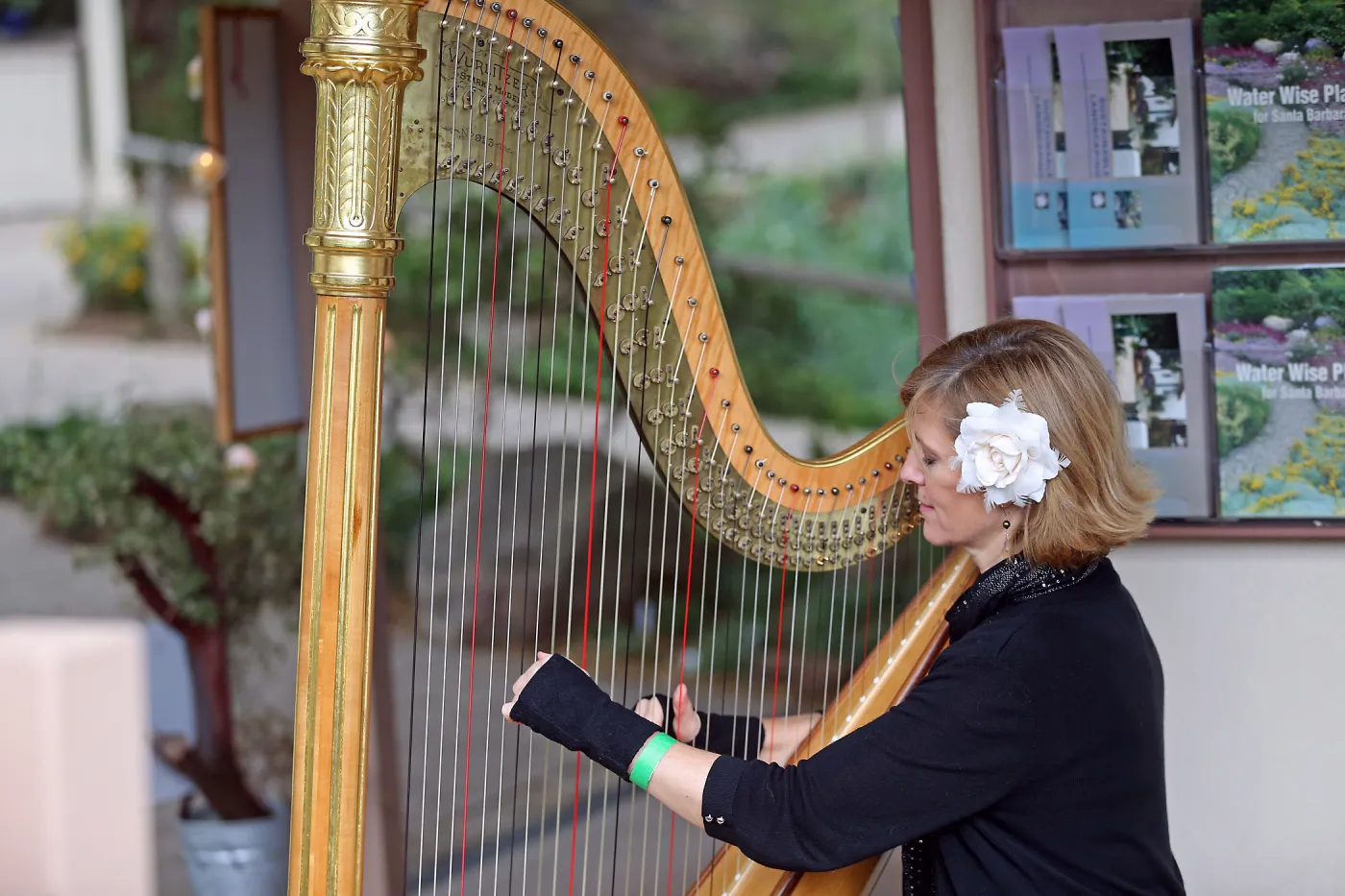 2015 Santa Barbara Beer Garden Event, Harpist