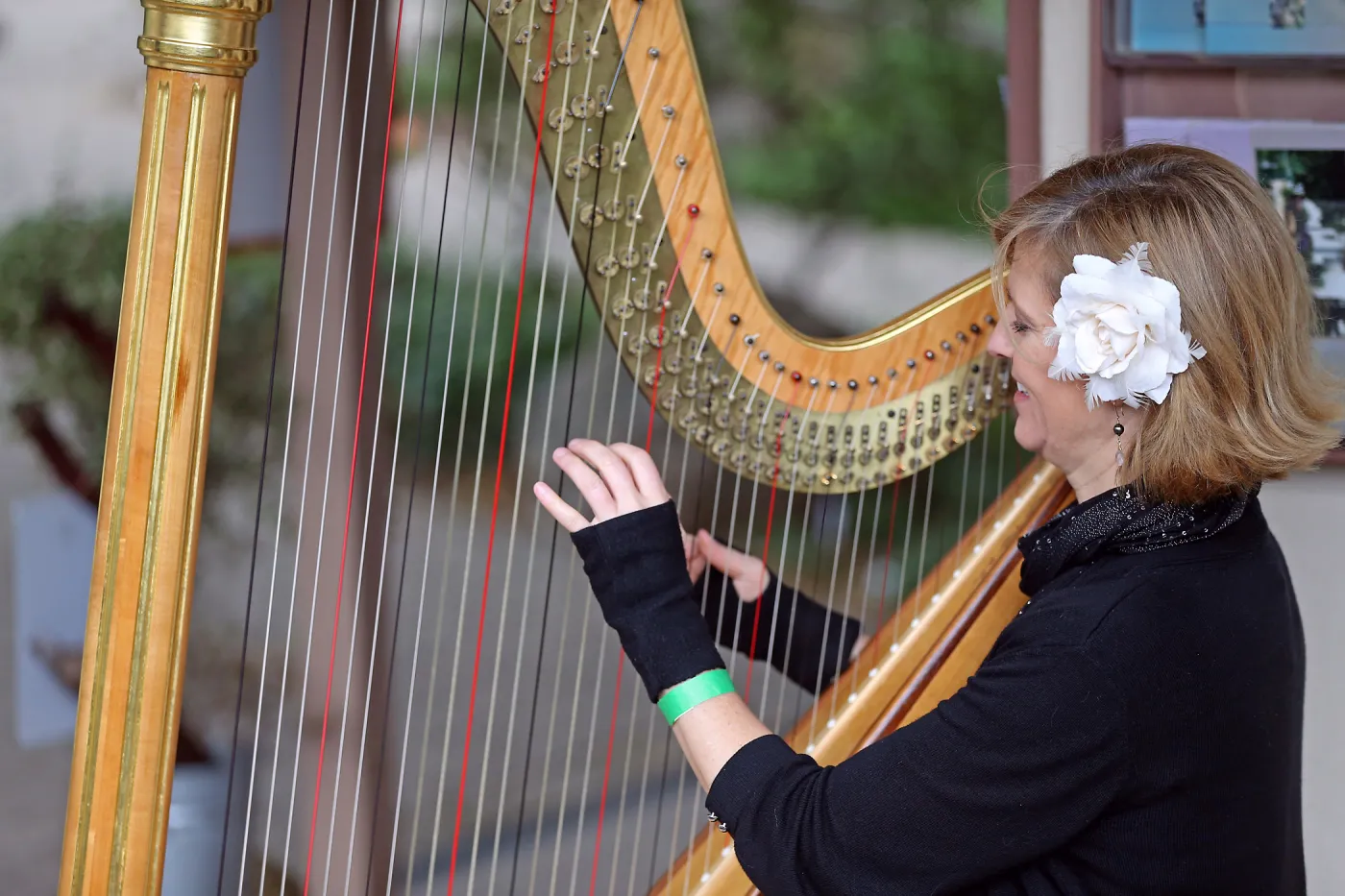 2015 Santa Barbara Beer Garden Event, Harpist