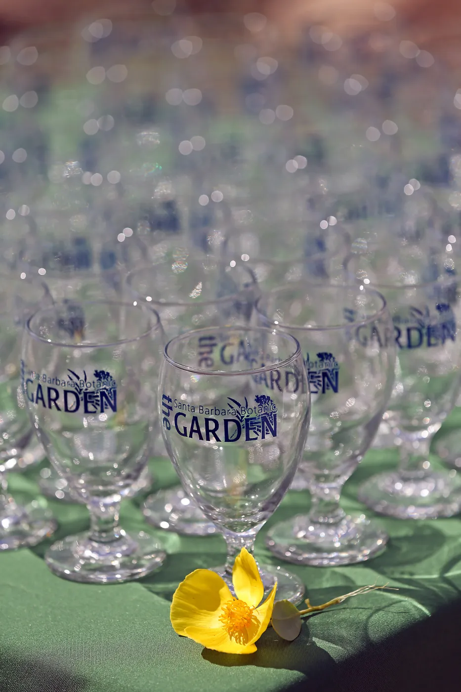 2015 Santa Barbara Beer Garden Event Glass(es)