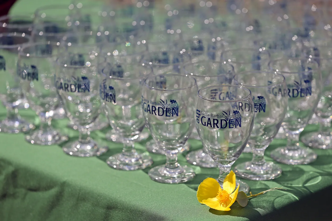2015 Santa Barbara Beer Garden Event Glass(es)