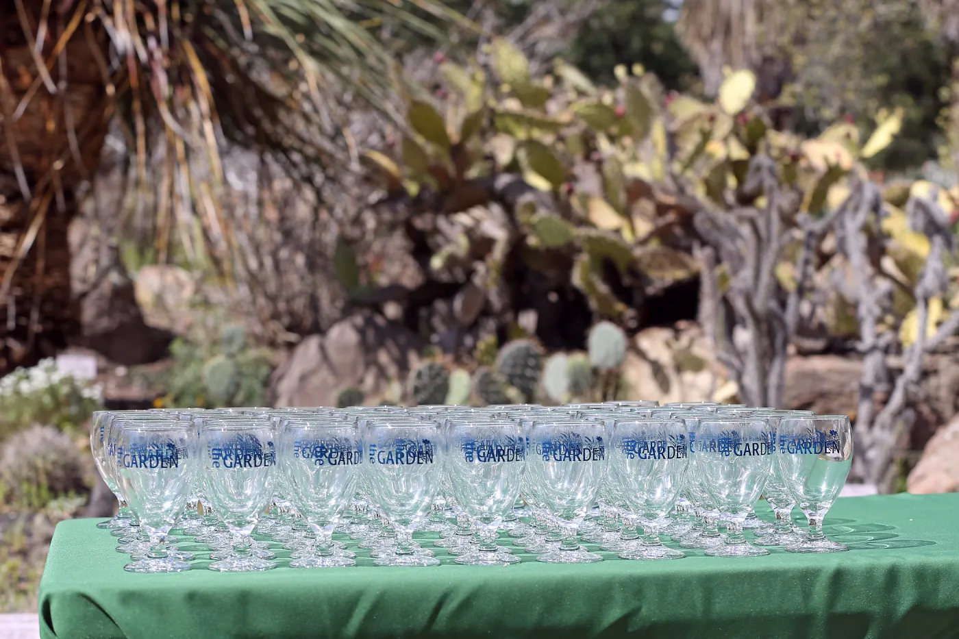 2015 Santa Barbara Beer Garden Event Glass(es)