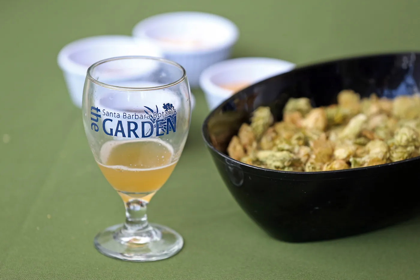 2015 Santa Barbara Beer Garden Event Glass(es)