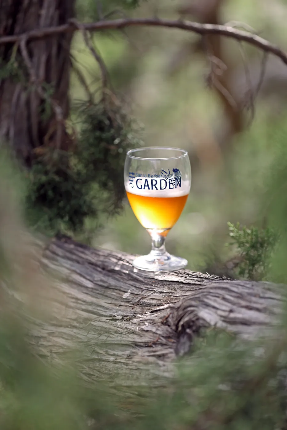 2015 Santa Barbara Beer Garden Event Glass(es)
