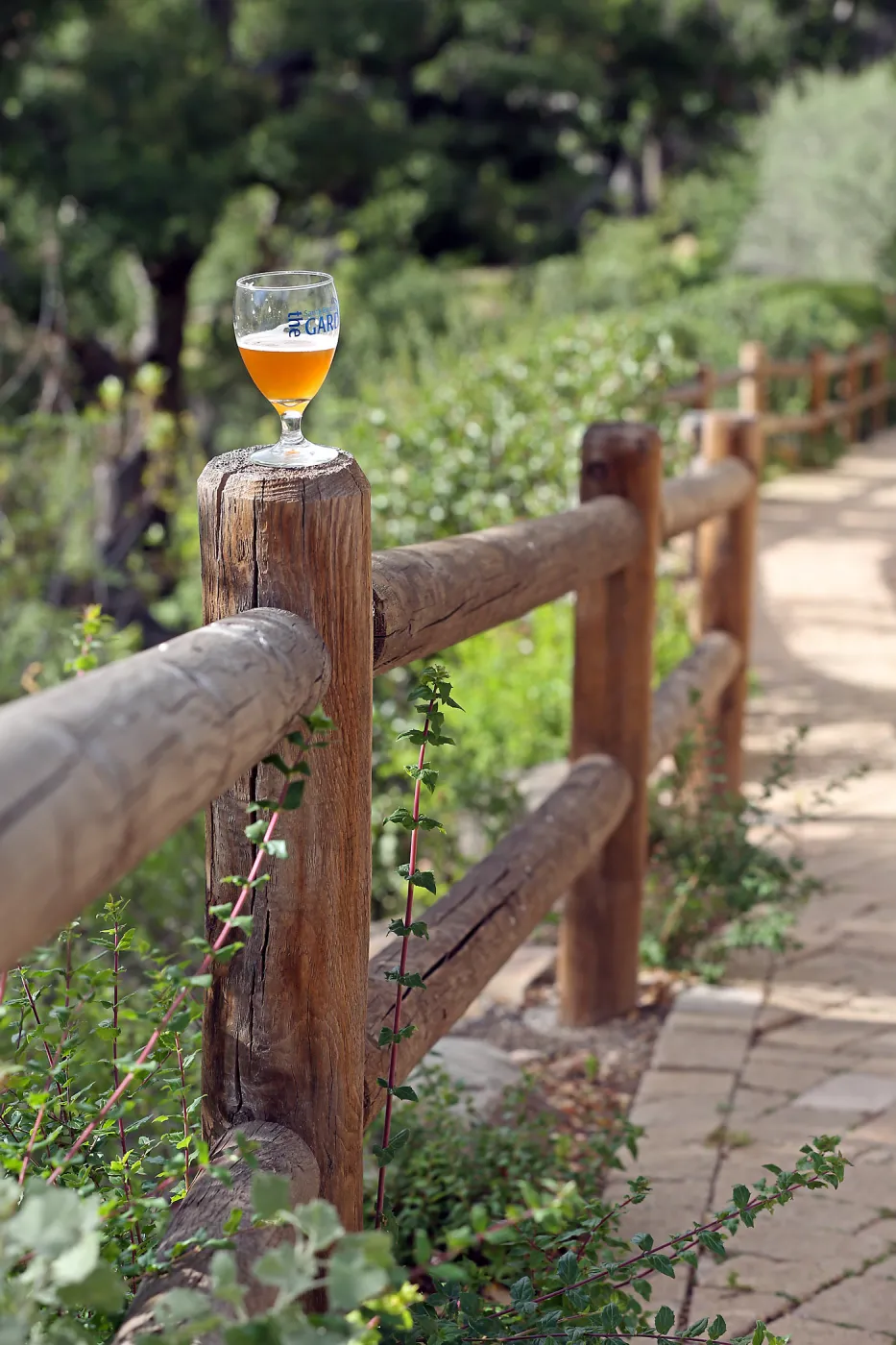 2015 Santa Barbara Beer Garden Event Glass(es)
