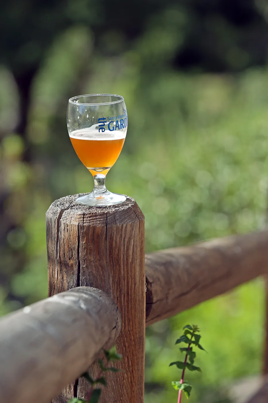 2015 Santa Barbara Beer Garden Event Glass(es)