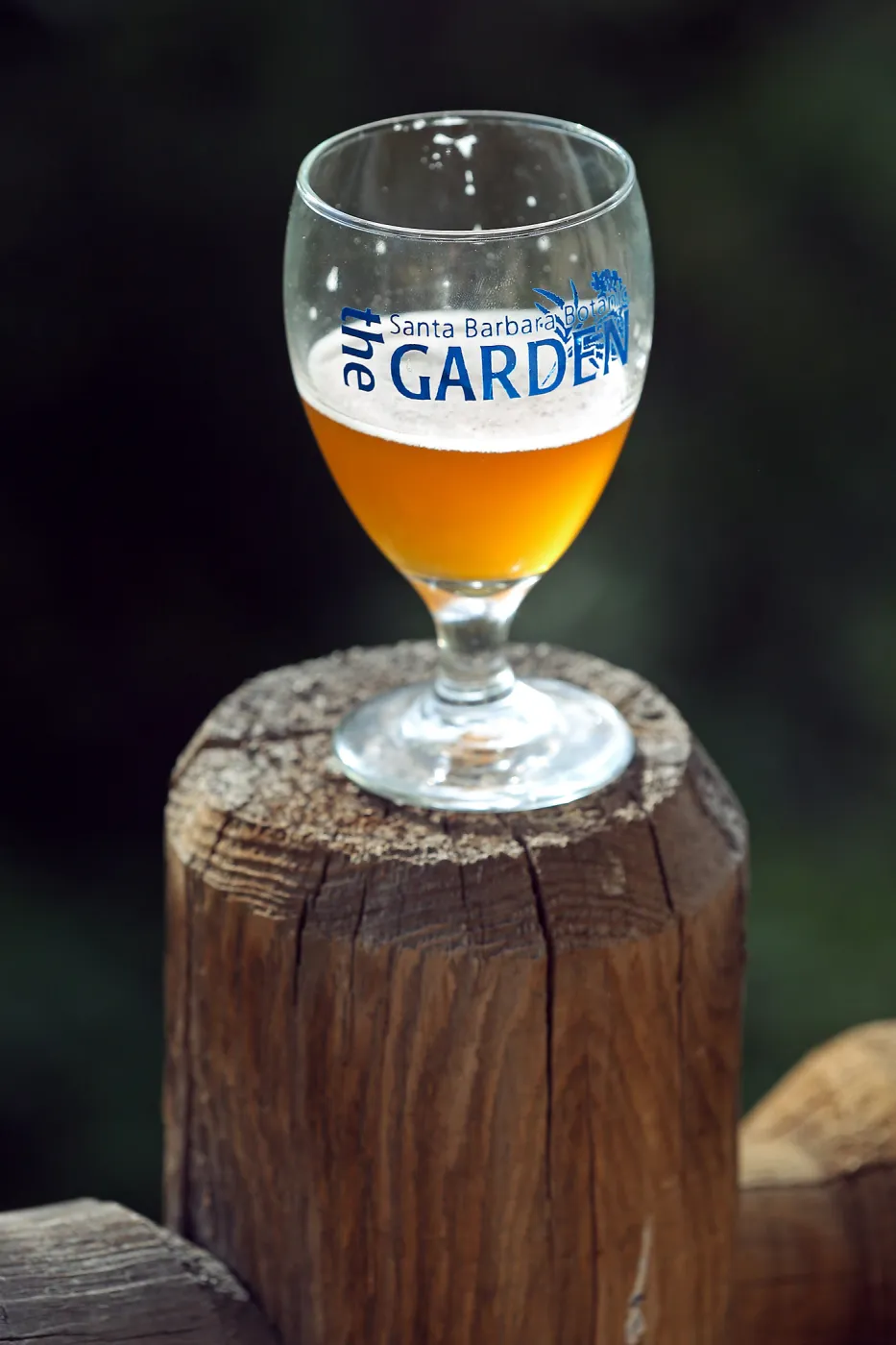 2015 Santa Barbara Beer Garden Event Glass(es)