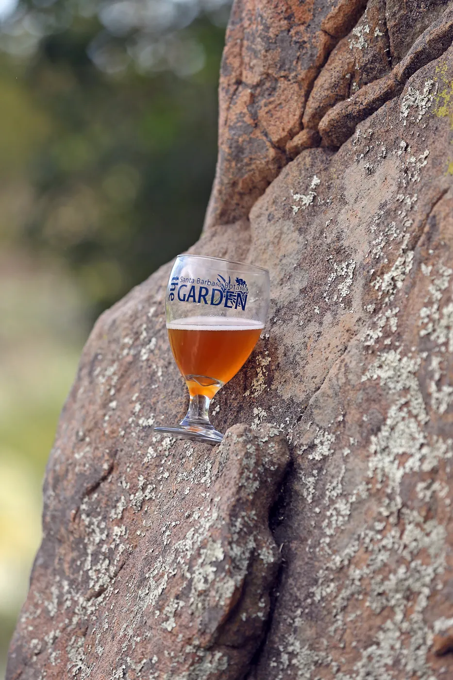 2015 Santa Barbara Beer Garden Event Glass(es)