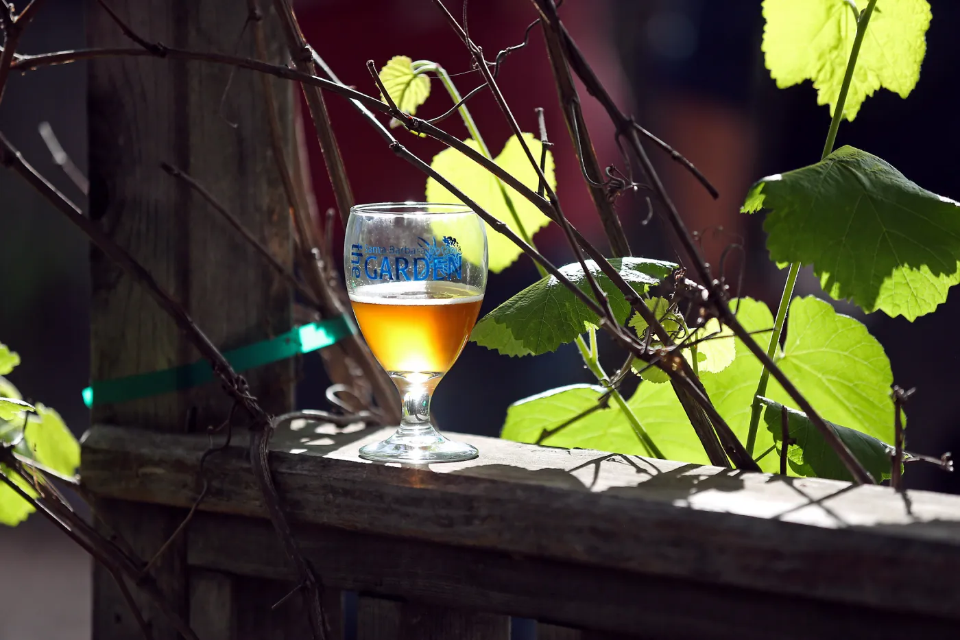 2015 Santa Barbara Beer Garden Event Glass(es)