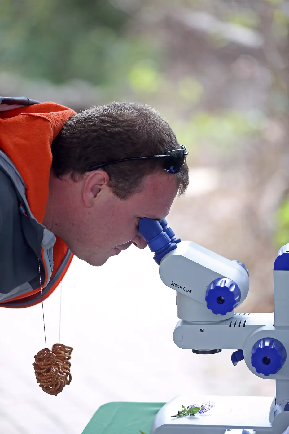 2015 Santa Barbara Beer Garden Event, Microscope Display