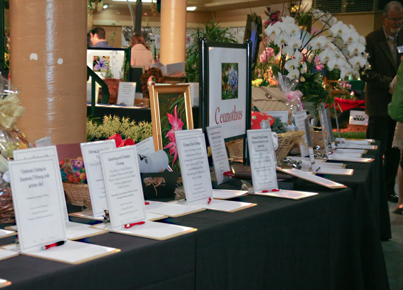 Orchid Show 2013