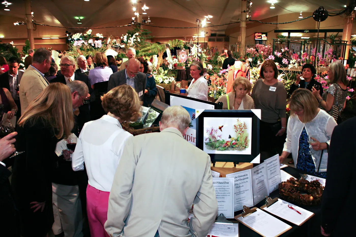 Orchid Show 2013