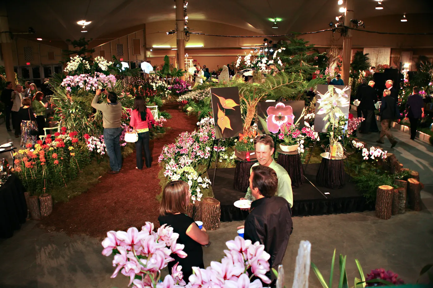 Orchid Show 2013