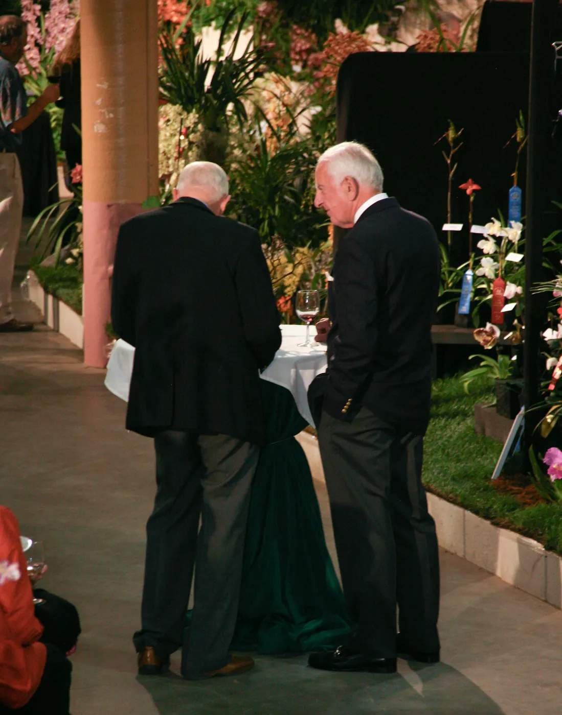 Orchid Show 2013
