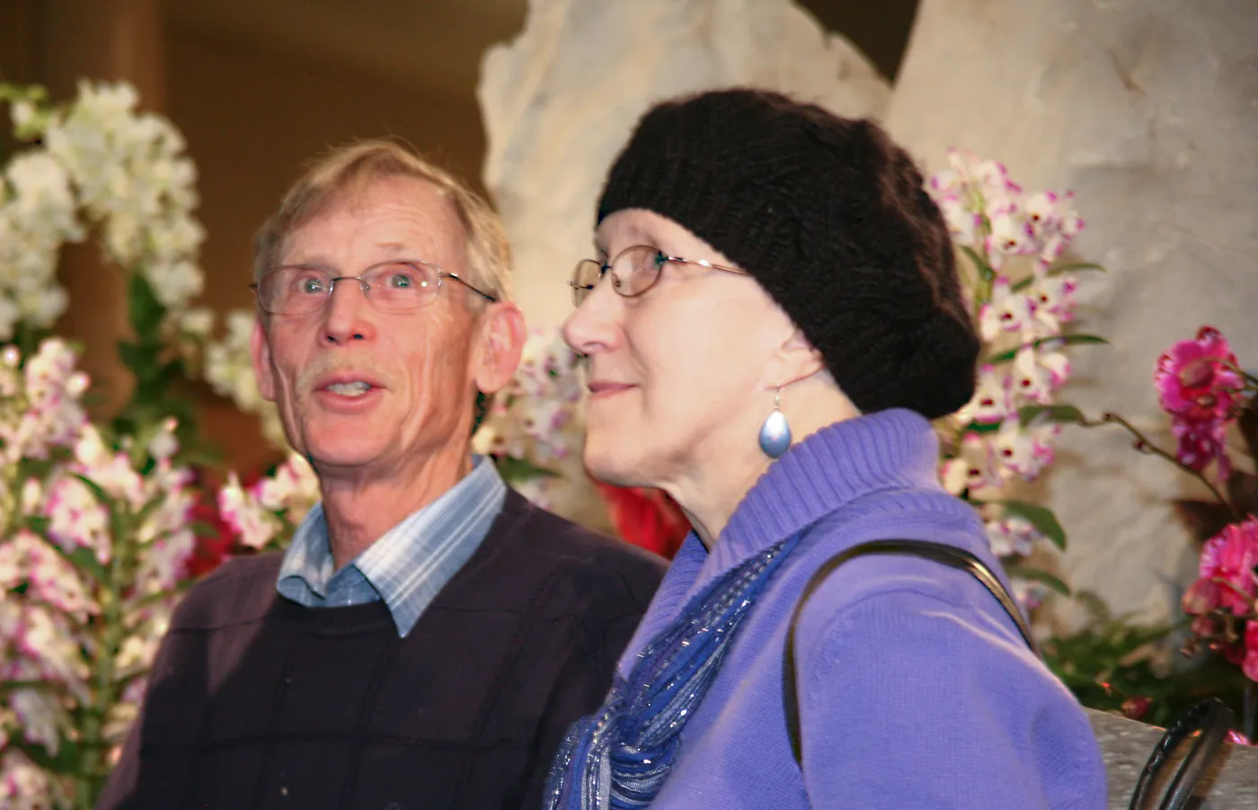 Orchid Show 2013