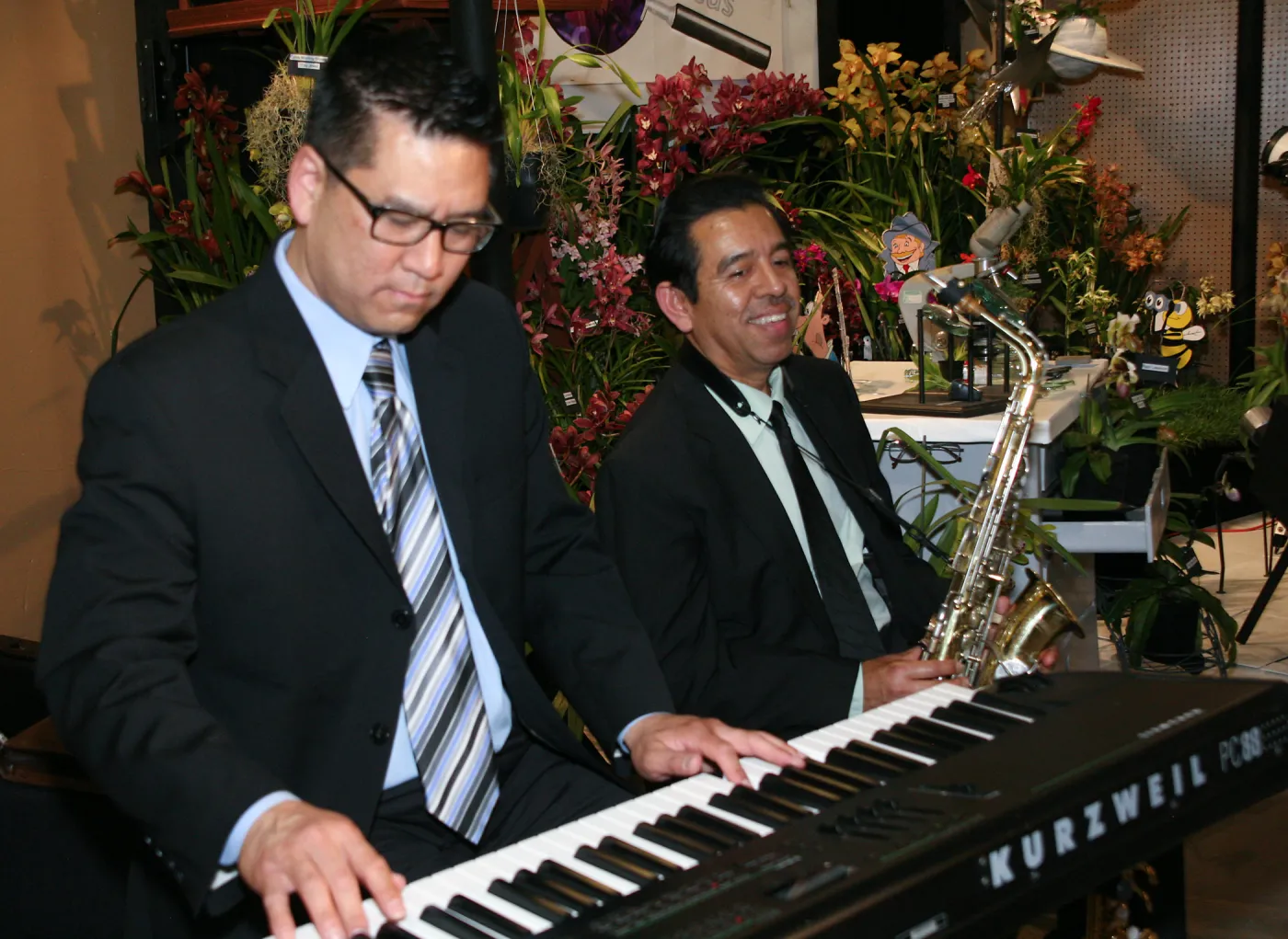 Orchid Show 2013