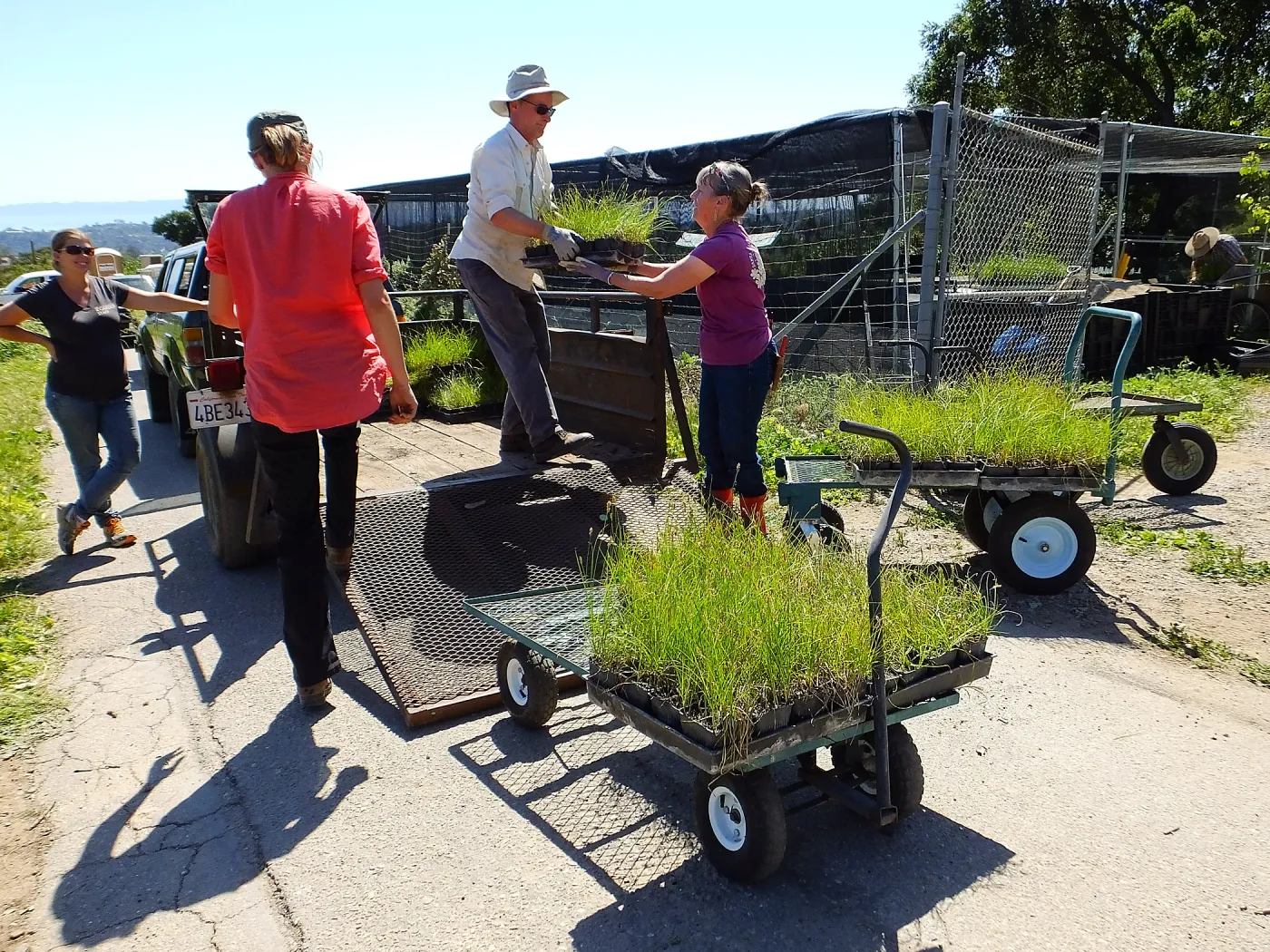 Spring Plant Sale 2015 plant delivery from Santa Barbara Natives