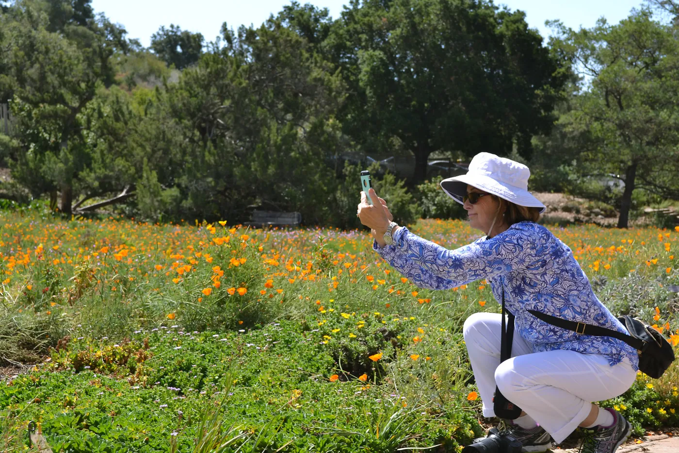Seniors Free Day photographer