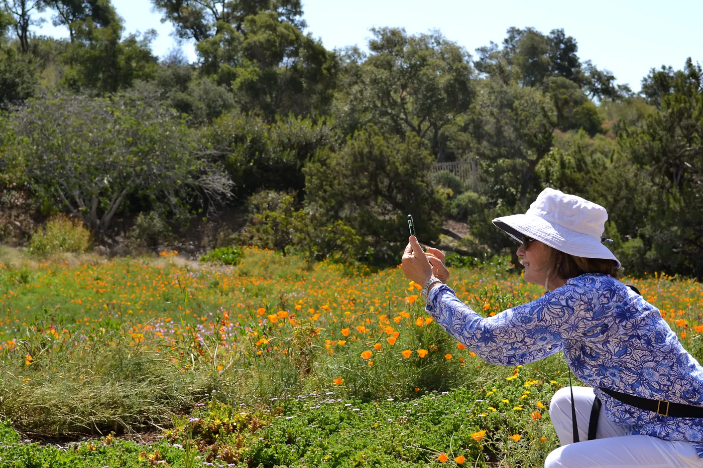 Seniors Free Day visitors at upper Meadow