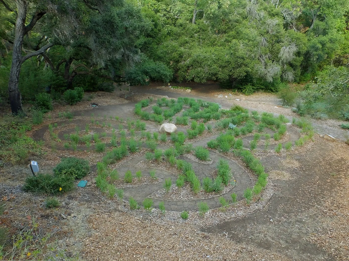 Centennial Maze