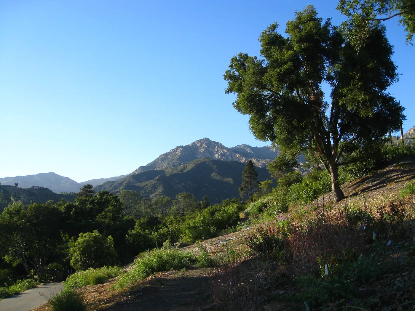SW Trail, SBBG