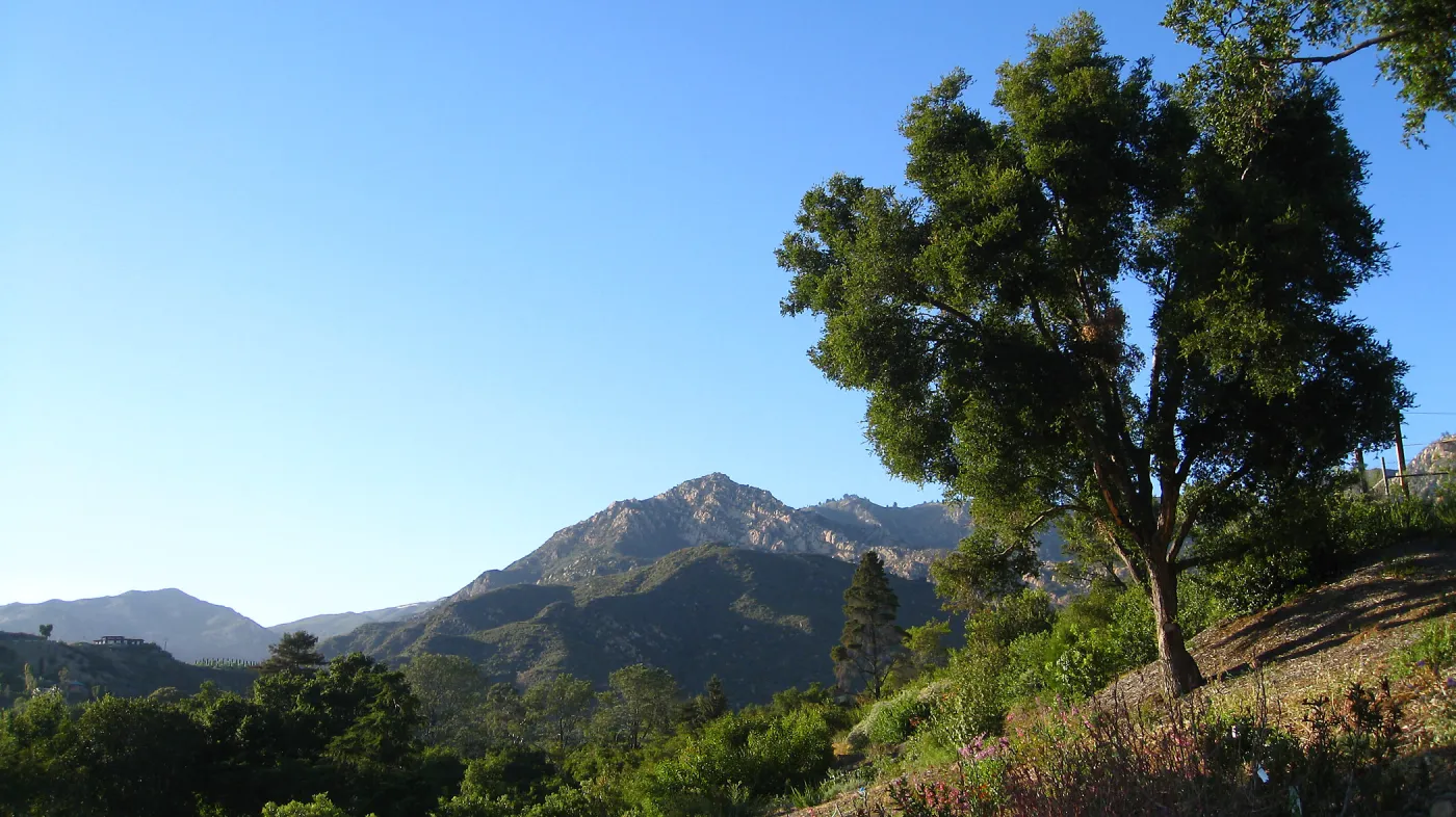 SW Trail, SBBG