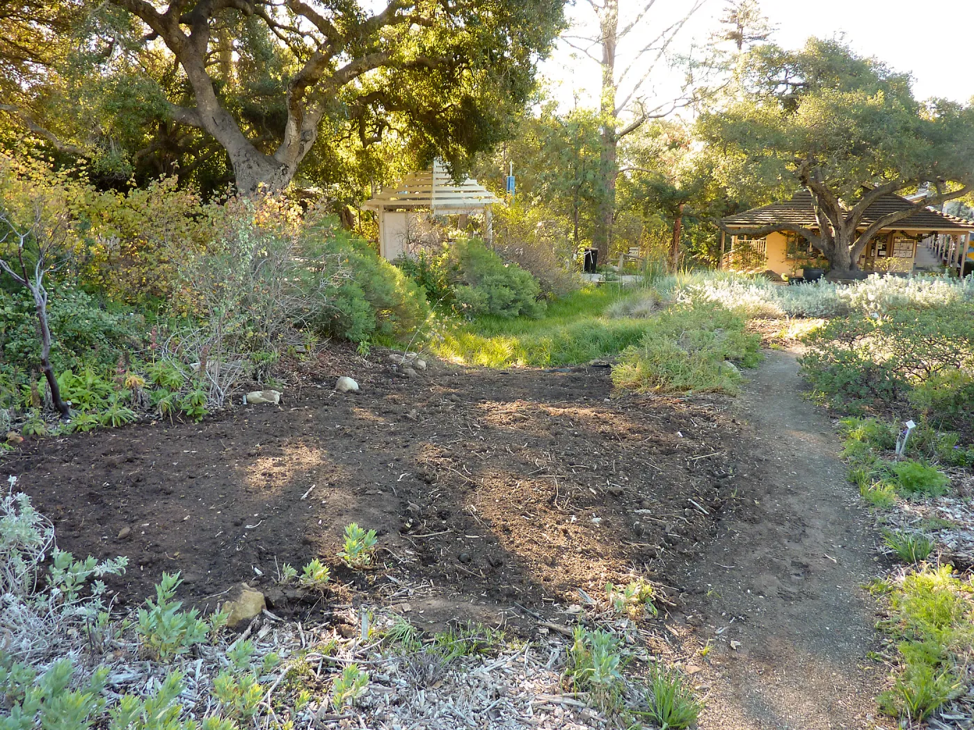 Ground Cover display, looking towards gift shop and Visitor Kiosk