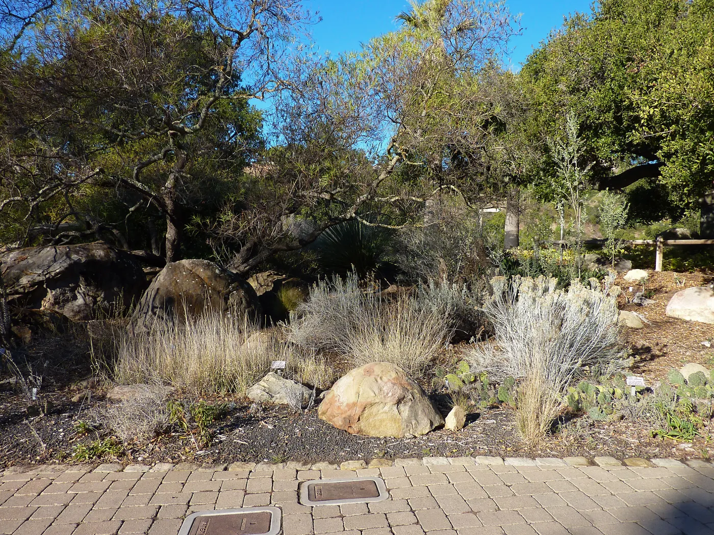 Ground Cover display