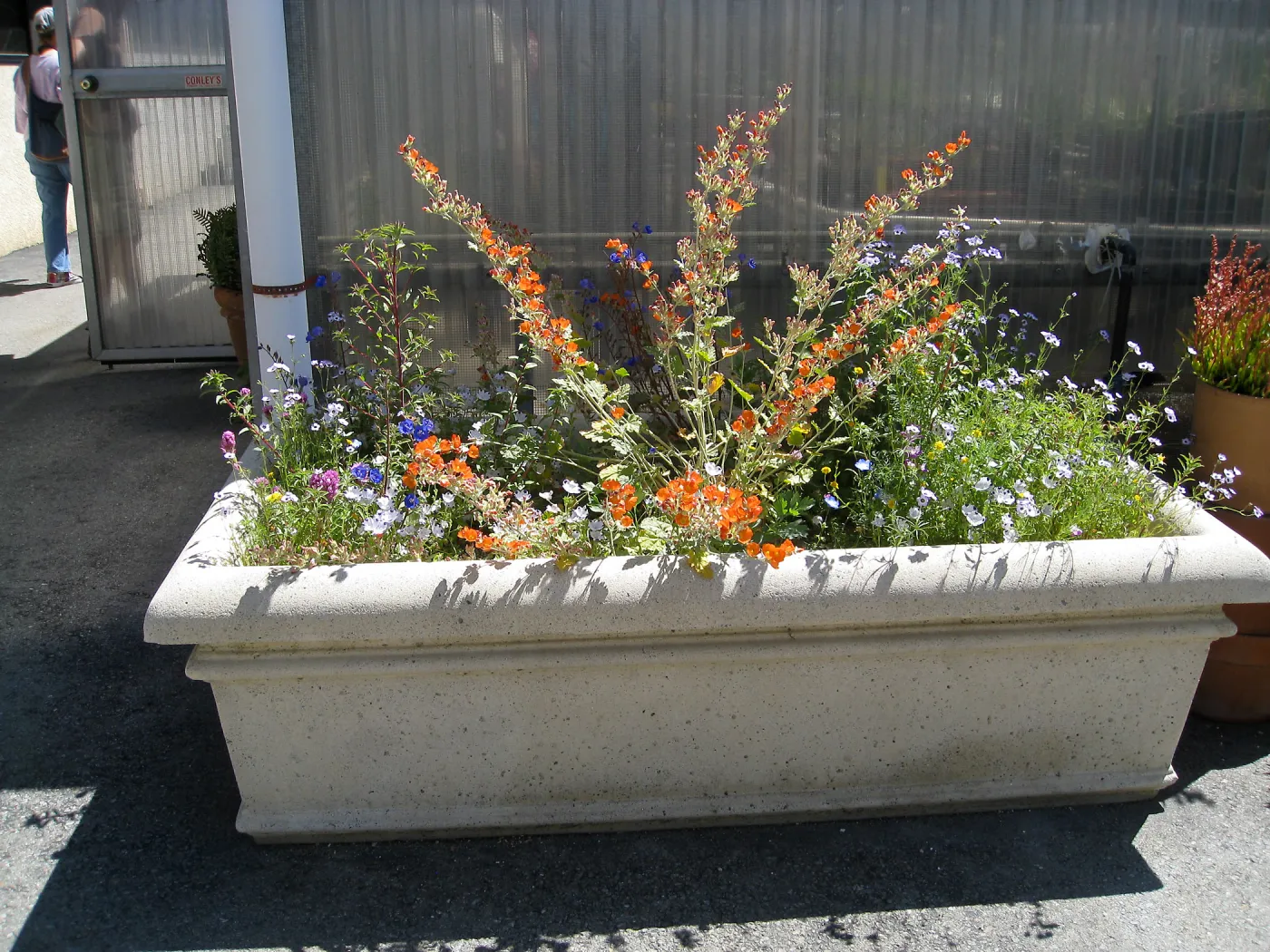 Rancho Santa Ana Botanic Garden Nursery