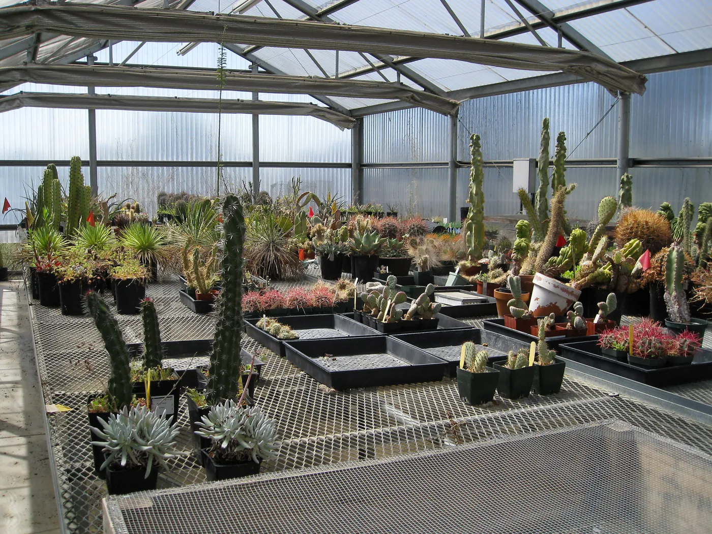 Rancho Santa Ana Botanic Garden Nursery