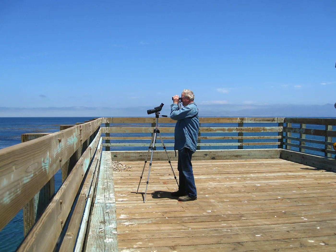 Santa Rosa Island, Patrick McNulty