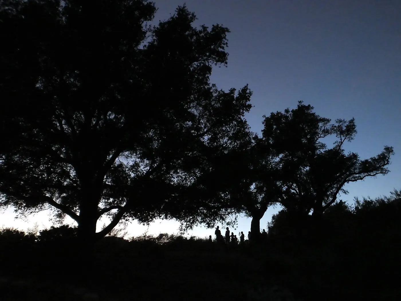 Member Appreciation Month, Blue Moon Hike