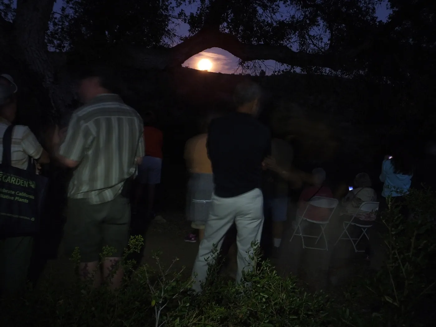 Member Appreciation Month, Blue Moon Hike