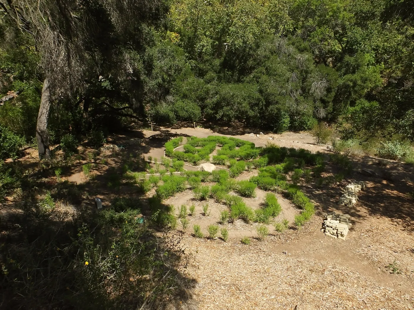 Centennial Maze