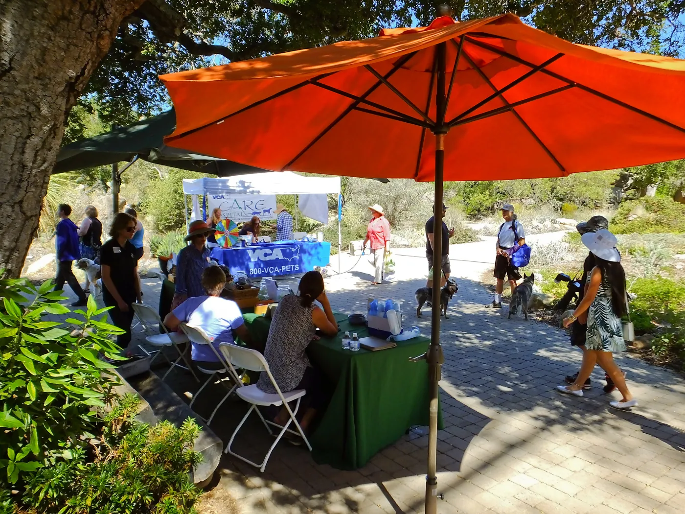 Trails n Tails 2015