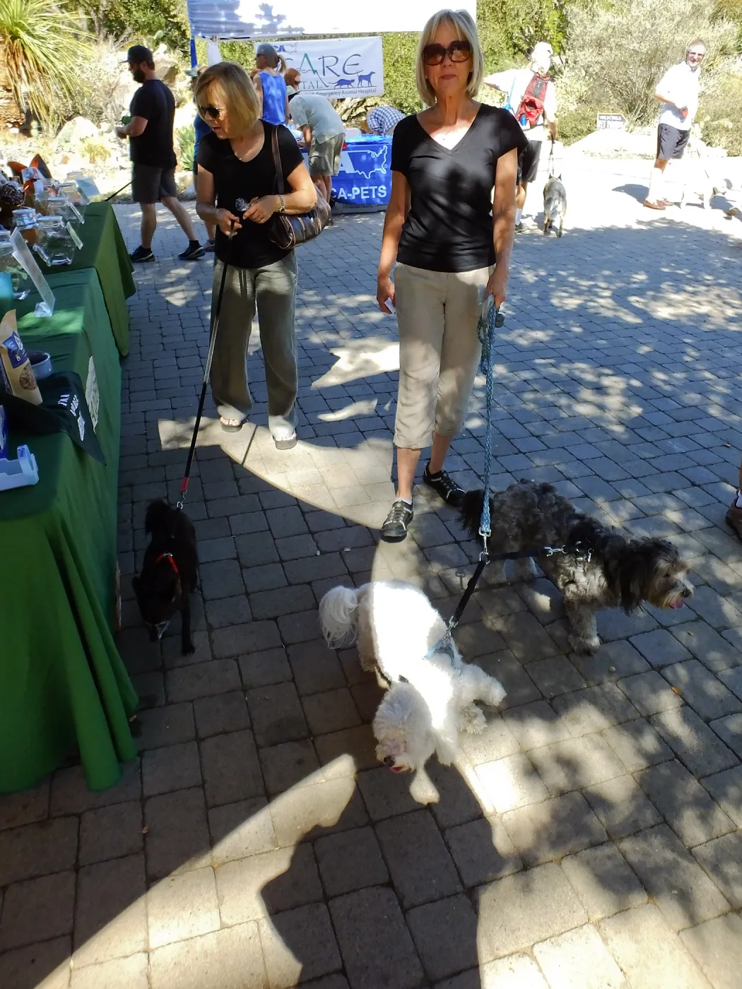 Trails n Tails 2015